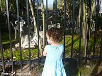 Tiffany checks out the Alamo Menagerie