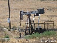 A Zebra in the Coalinga Iron Zoo