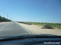 Strange piles of sticks seen along Browning Road