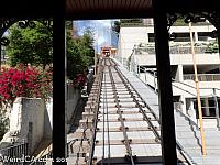 Looking up the tracks