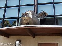 The bunny head above the front door