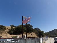 Flying Pig of Topanga