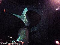 The Propeller