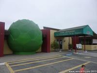 Giant Artichoke