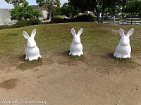 3 Bunnies in the Henge