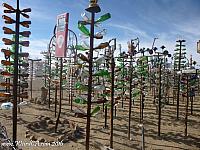 Elmer's Bottle Tree Ranch has over 200 bottle trees!