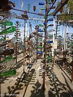 Elmer's Bottle Tree Ranch