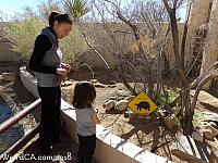 Tiffany learning about tortoises