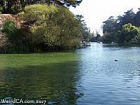 Stow Lake