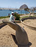 Nearby Park in Morro Bay