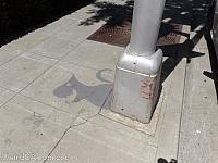 Redwood City Shadow Art