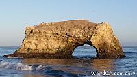 Natural Bridges State Beach