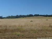 Sarah Cowell broke her neck in a carriage accident and now haunts this meadow in UC Santa Cruz!