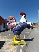 Escondido Chicken