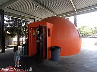 Mark's Hot Dogs in San Jose serves up delicious hot dogs out of a former giant orange stand!