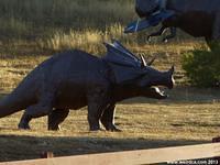 Atascadero Dinosaurs