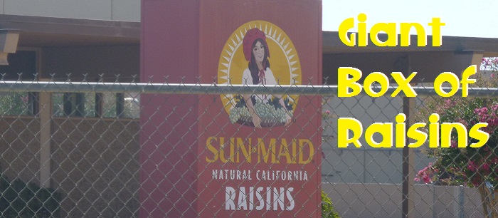 World's Largest Box of Raisins