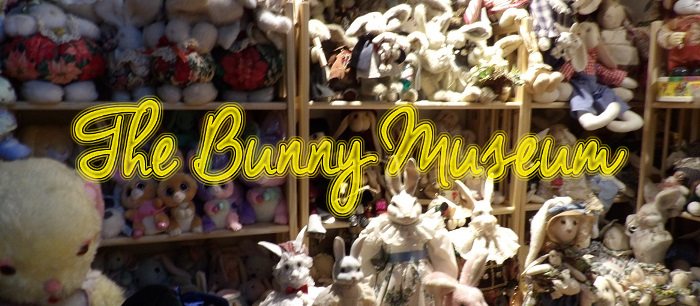 Bunny Museum